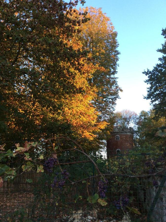 Bed and Breakfast L'Orme Des Voyageurs Boutigny Zewnętrze zdjęcie